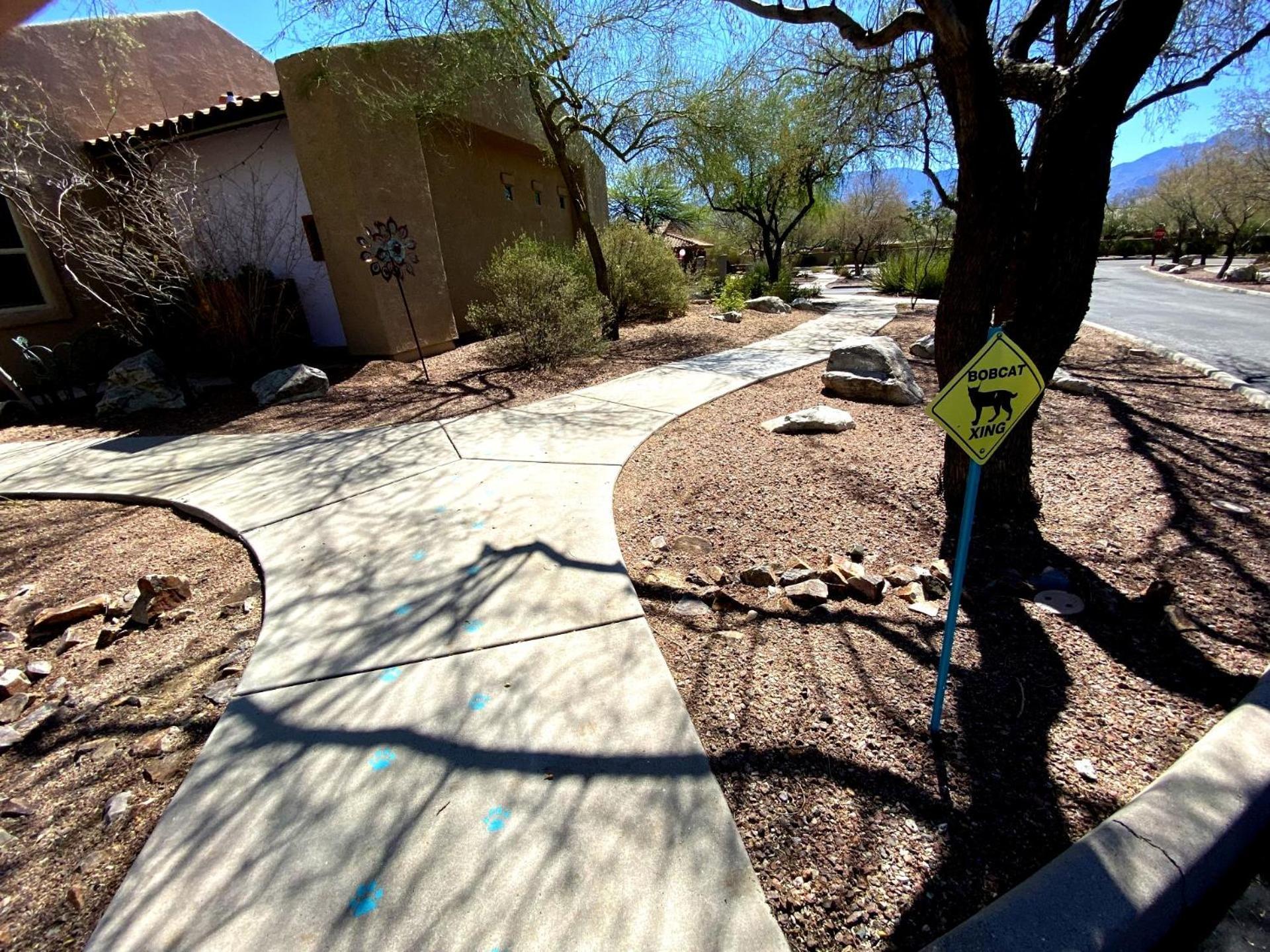 Worldmark Rancho Vistoso Oro Valley Exteriér fotografie
